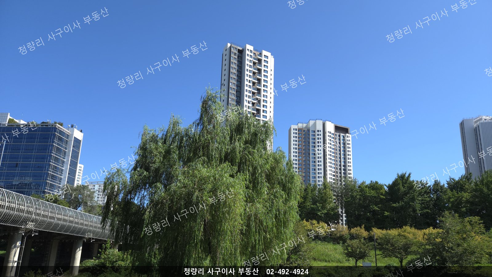 청계천 버드나무와 다리 너머로 본 청계 SK VIEW